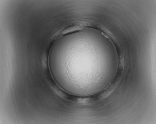 X0000115630450200911171339