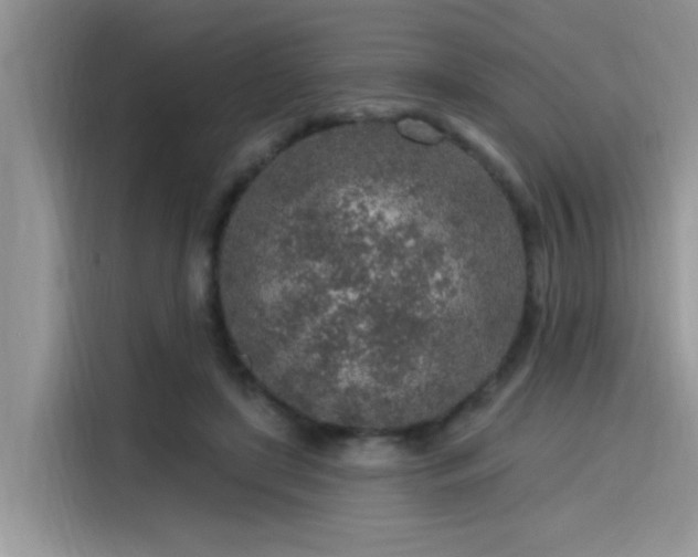 X0000115630451200911171339