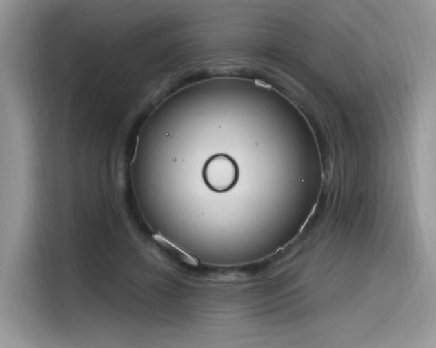 X0000115630452200911171339