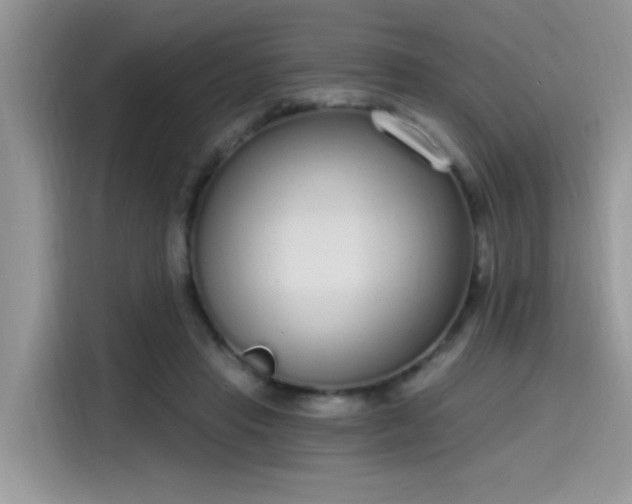 X0000115630453200911171339