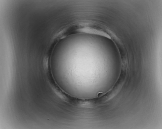 X0000115630454200911171339