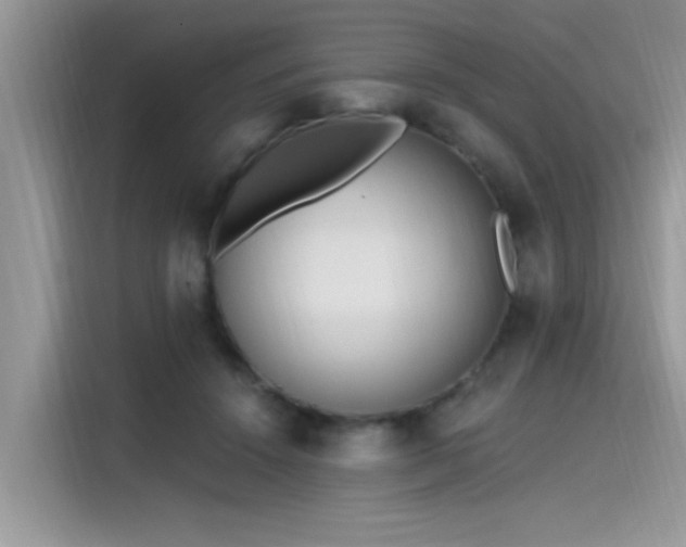 X0000115630456200911171339