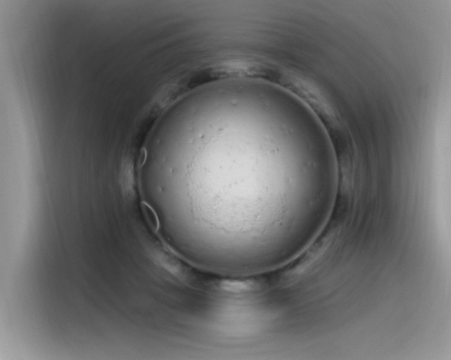 X0000115630457200911171339