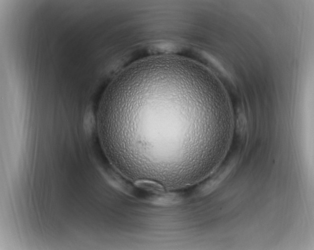 X0000115630459200911171339