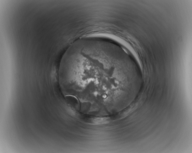 X0000115630465200911171339