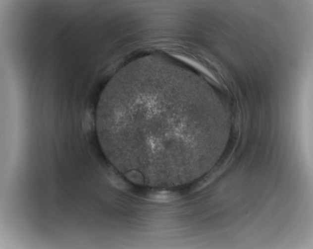 X0000115630467200911171339