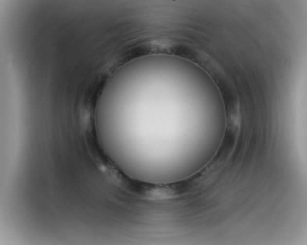 X0000115630468200911171339