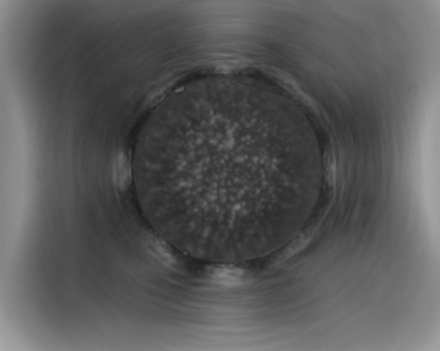 X0000115630471200911171339