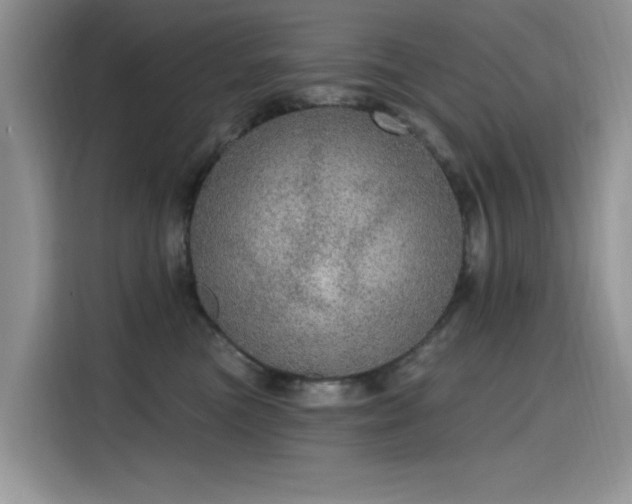 X0000115630473200911171339