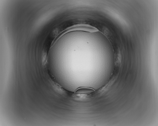 X0000115630478200911171339