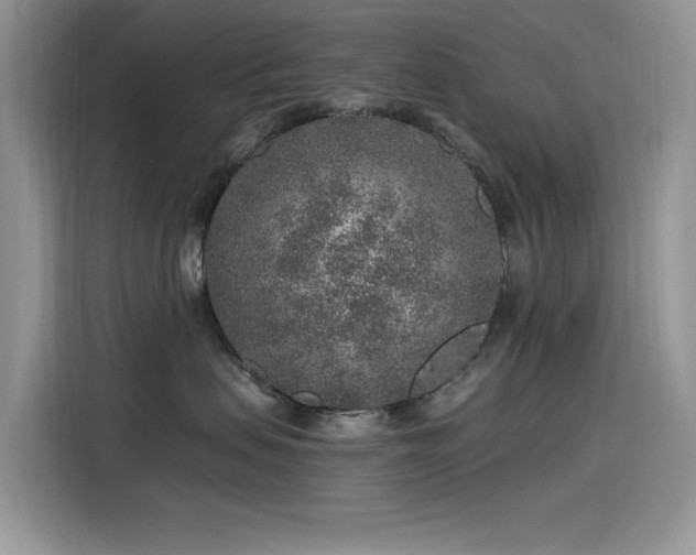 X0000115630479200911171339