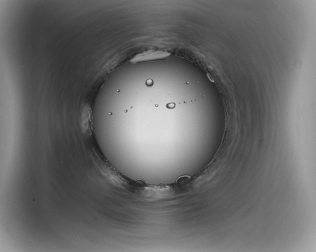 X0000115630480200911171339