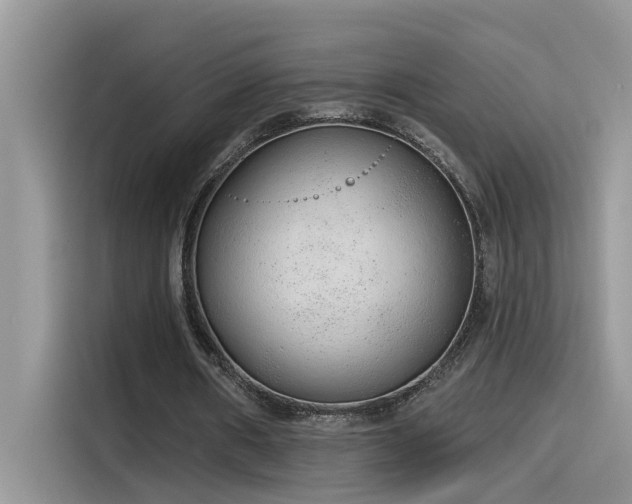 X0000115630482200911171339