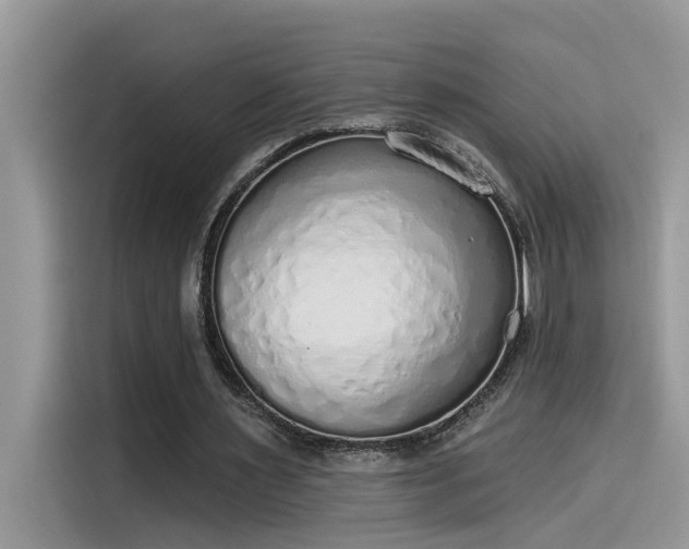 X0000115630483200911171339