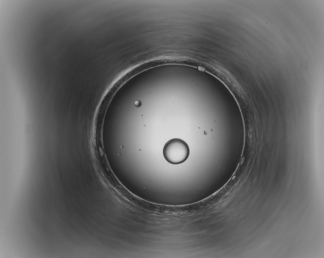 X0000115630484200911171339