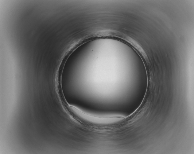 X0000115630485200911171339