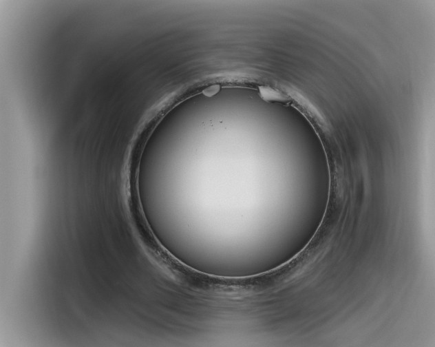 X0000115630486200911171339