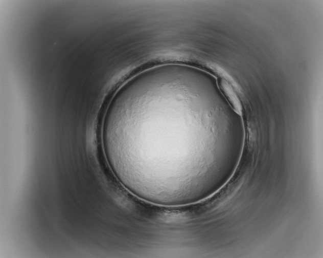 X0000115630487200911171339