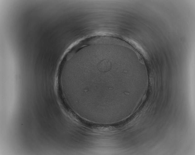 X0000115630488200911171339