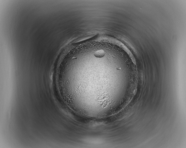 X0000115630491200911171339