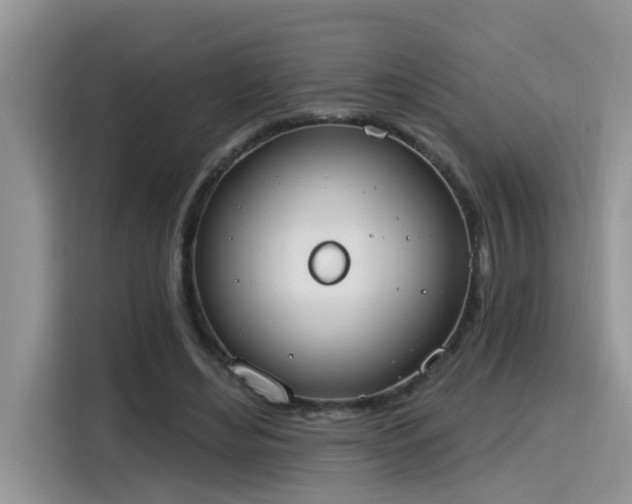 X0000115630492200911171339