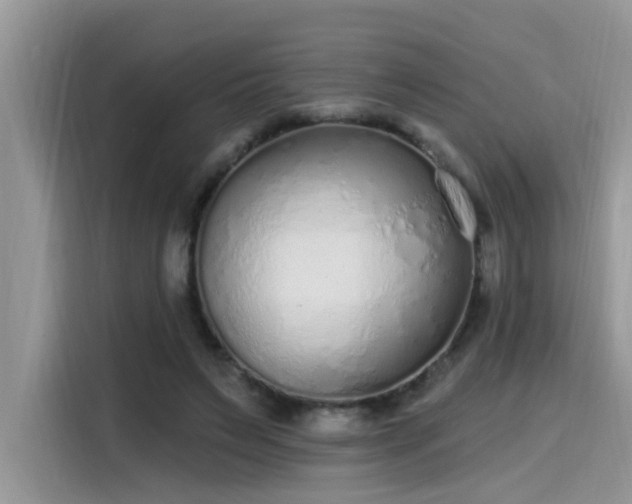 X0000115630495200911171339