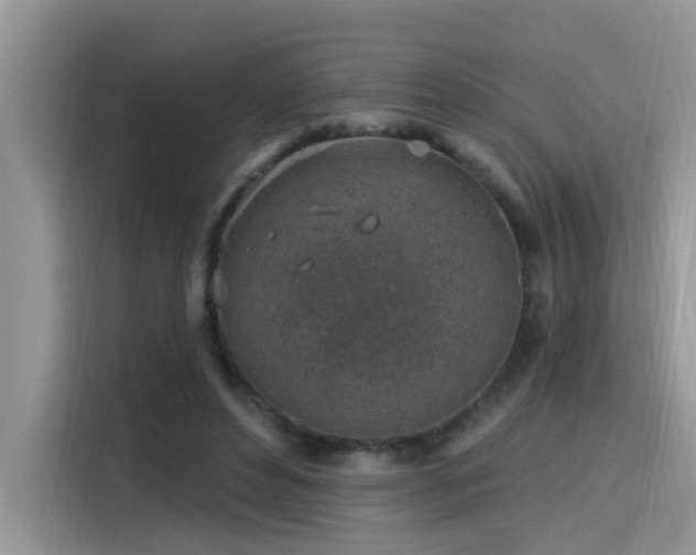 X0000115630496200911171339