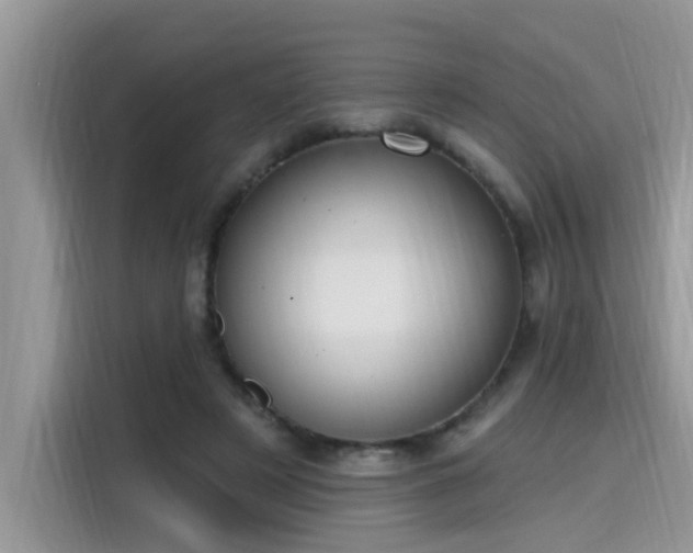 X0000115630497200911171339