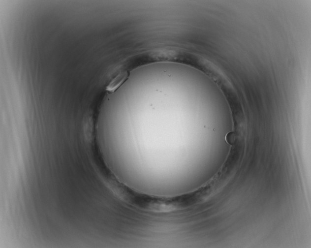 X0000115630498200911171339