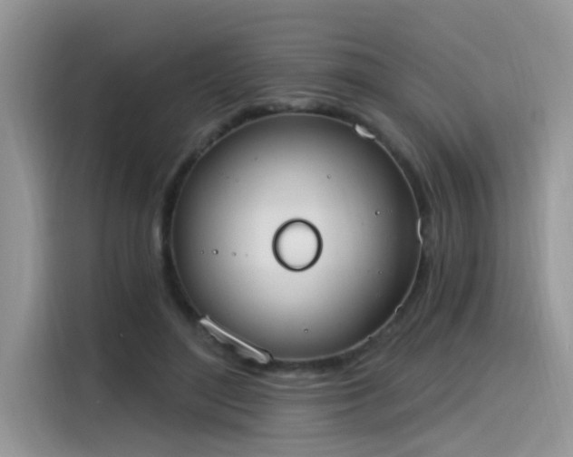 X0000115630500200911171339