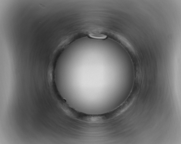 X0000115630501200911171339