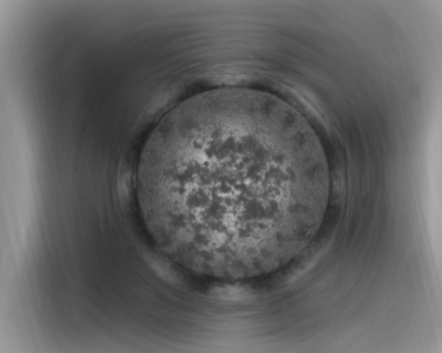 X0000115630503200911171338