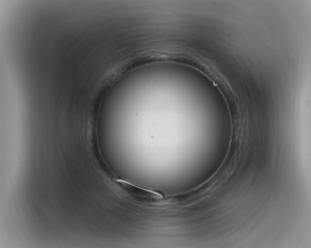 X0000115630505200911171338