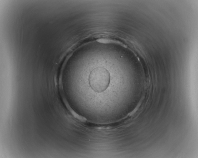 X0000115630508200911171338