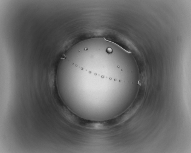 X0000115630509200911171338