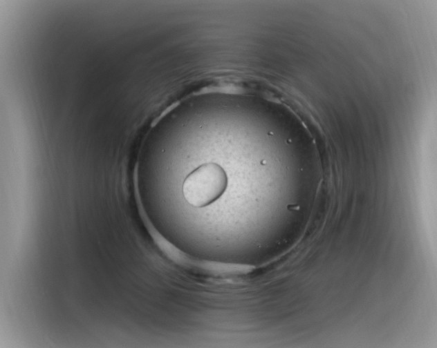 X0000115630512200911171338