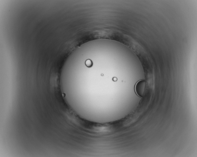 X0000115630514200911171338