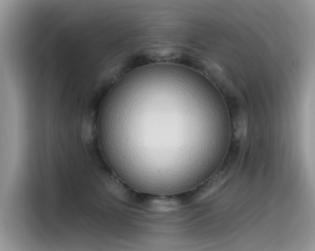 X0000115630515200911171338