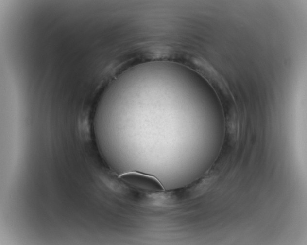 X0000115630516200911171338