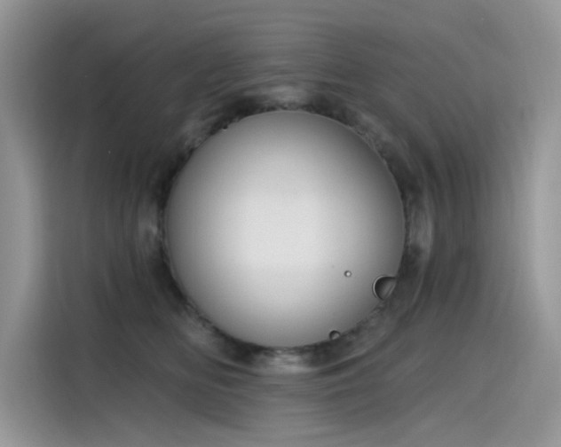 X0000115630518200911171338