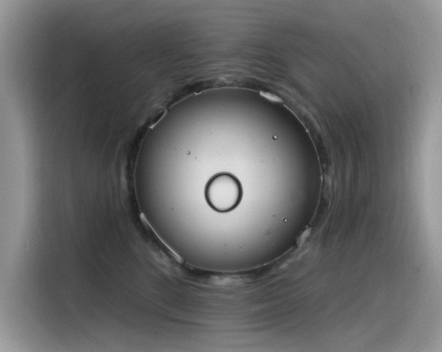 X0000115630520200911171338