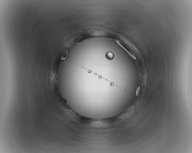 X0000115630521200911171338