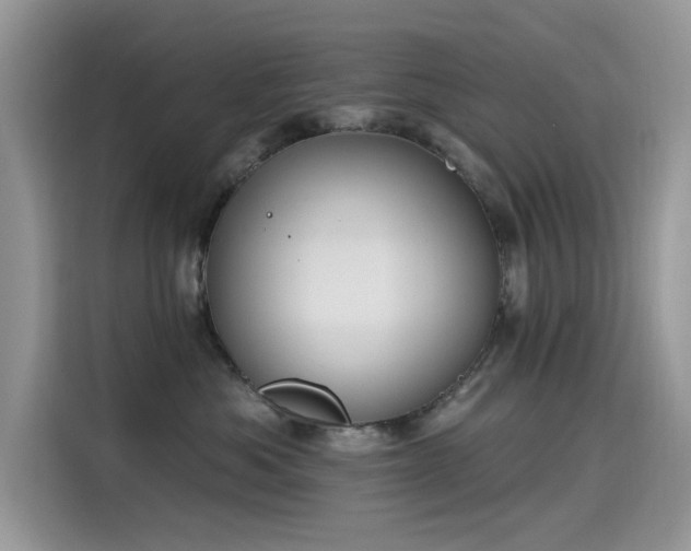 X0000115630525200911171338