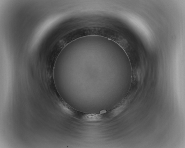 X0000115630526200911171338