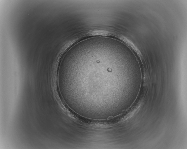 X0000115630529200911171338