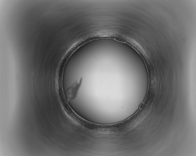 X0000115630530200911171338