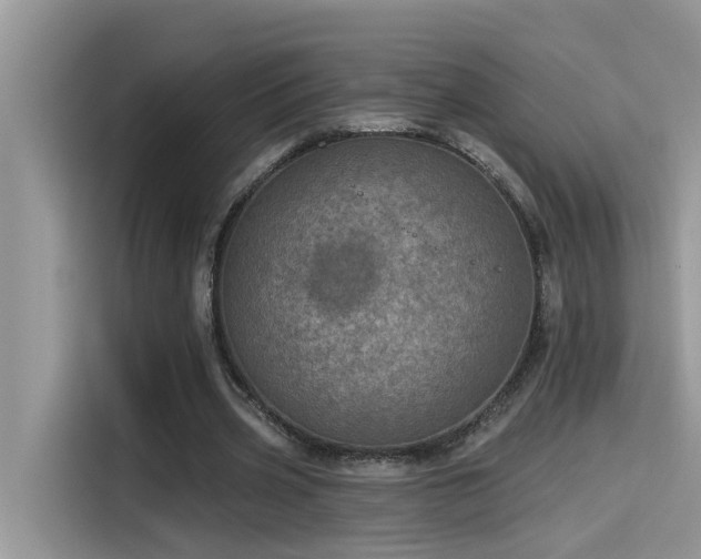 X0000115630533200911171338