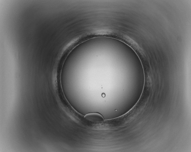 X0000115630535200911171338