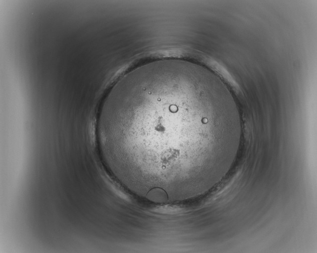 X0000115630537200911171338