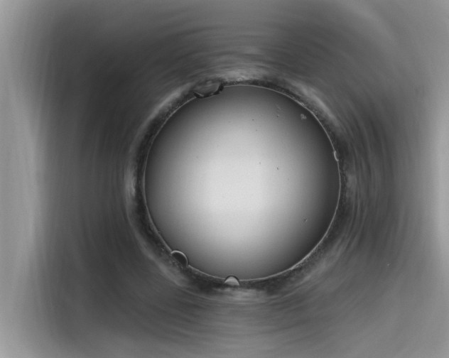 X0000115630539200911171338